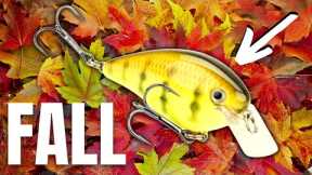 You Can't BEAT These 5 FALL Lures