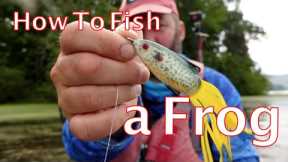 September Baits - How to Fish a Topwater Frog - Bass Fishing