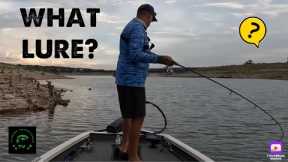 Bass fishing the fall transition, what lures to use! #laketravis, #bassfishing