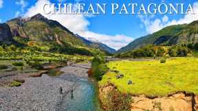 Fly Fishing Patagonia - Fly Fishing a GORGEOUS Creek for Rainbow & Brown Trout in Chile