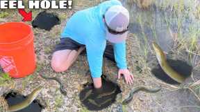 Hand Fishing For EELS in DEEP HOLES!