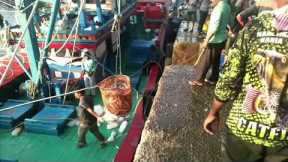 Amazing Boat Catching Fish. Traditional Fisherman Catch A Lot Of Fish. #3