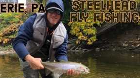 I GOT NO DRAG- Lake Erie Steelhead Fly Fishing Prime Time
