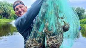 We Caught Millions of Shrimp in ONE cast of the net!!! {Catch Clean Cook} Guatemala