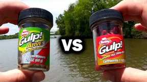 GULP Minnow vs GULP Worm - Beginner Friendly Baits for Bank Fishing!