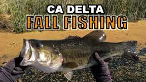 Fall Bass Fishing | CA Delta Bass Fishing