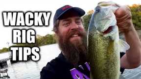 Easy Fishing Tips to Catch More Bass on a Wacky Rig (Yum Dinger)