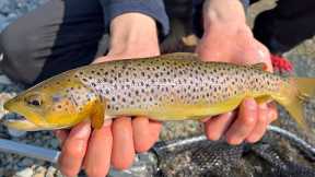 Lure Fishing for WILD TROUT in the Lake District (Amazing scenery!)