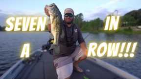 Lake Athens Summer Bass Fishing: Insane Morning Bite On Plastic Worms!!! Catching Not Fishing!