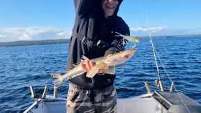 lure fishing lake macquarie