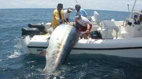 Amazing Fastest Giant Bluefin Tuna and Black Marlin Fishing Skill - Amazing big catching on the sea