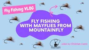 Fishing with award winning FLY FISHING FLIES – Beginner Fly Fishing Vlog