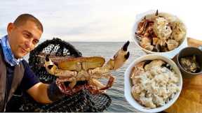 Fresh Seafood - BIG Crab Catch, Clean and Cook - Crab Cakes and Risotto | The Fish Locker