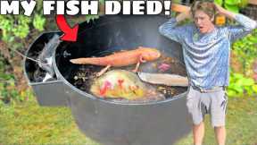 HURRICANE KILLED MY PET FISH!
