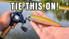 The ONLY Fall Lure I Needed! (Topwater Bass Fishing)