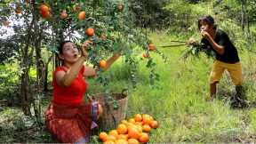 Meet a girl and pick orang fruit in forest- Orang fruit with salt chili for snack eating delicious