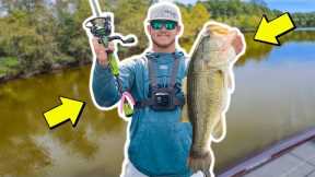 WE FOUND THE BIG BASS - Shallow Water Fall Bass Fishing