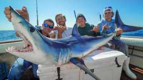Mako SHARK! Catch Clean Cook (Offshore Fishing New York)