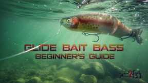 Glide Bait Fishing Bass: A Beginner's Guide