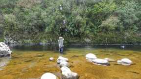 FLY FISHING in STUNNING RIVER for BIG RAINBOW TROUT