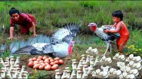 Survive Women - Son & Mother Catch fish looking at big turkey and egg - cooking Mushrooms eating HD