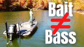 2 Misconceptions About FALL BASS FISHING (Fall Fishing Tips)