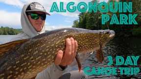 3-Day Algonquin Park Canoe Camping and Fishing Trip - Catch and Cook - How to Filet a Pike!