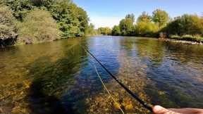Fly Fishing Northern Spain for Brown Trout!