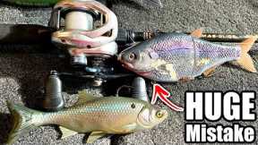 95% of Anglers Make These SWIMBAIT FISHING Mistakes!! STOP thinking this way...