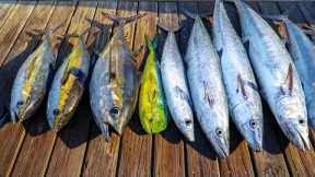 EPIC Deep Sea Fishing MIAMI! Catch Clean Cook (Tuna, Kingfish, Dolphin, Sailfish)