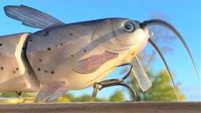 Catching Fish On The CatFish SwimBait PLUS Lure Making Testing Talking
