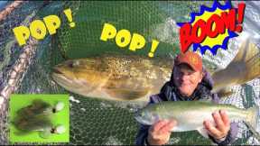 Popper fry Madness ! Explosive Fly fishing for big trout . #flyfishing #fishing #trout