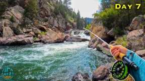 Fly Fishing a GORGEOUS Canyon for Trout! (Tenkara vs Western Fly Fishing)