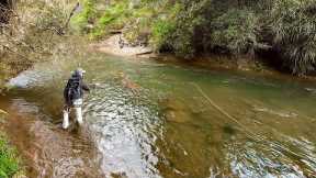 Tips for Fly Fishing High Water