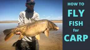 CARP FLY FISHING - how to