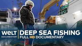 DEEP SEA FISHING - Hard Work On The High Seas | Full Documentary