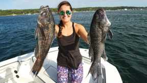Sea Bass CATCH CLEAN & COOK BEST Fish RECIPE!! Port Jefferson, New York!
