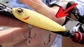 This Exact LURE Changed The Way I FISH