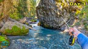 This is Small Stream Trout Fishing HEAVEN!! (Fly Fishing)