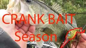CRANK BAIT fall time bass fishing