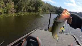 Bass Fishing on Lake Talquin on October 28, 2022  Fun few hours!