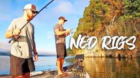NED RIG FISHING In The Fall/Winter Months To Catch MORE BASS!