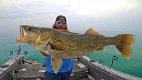 Walleye Fishing Lake Erie (CATCH & COOK) | Field Trips with Robert Field