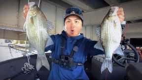 Fishing for Giant Whitebass with Live Minnows (They Get Bigger)