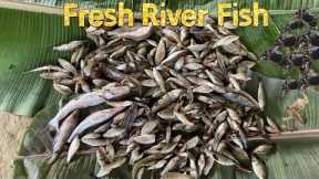 FISHING FRESH RIVER FISH | Catch and Cook @Rod Reel and Camp