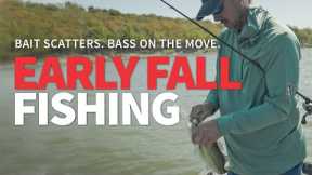 Early Fall Fishing (Bait Scatters. Bass on the Move. How to Stay on Them.)