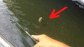 NO ONE Is Talking About The Most CRITICAL Bass Fishing TIP