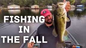The How to Fish the Fall Transition Video - Bass Fishing