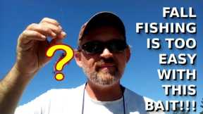 Fall Fishing Doesn't Get Any EASIER Than This! - Bass Fishing Tips