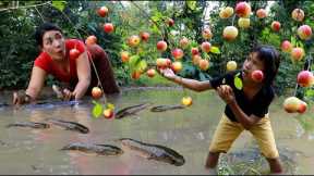 Catch many fish and pick apples fruit in flood forest- Roasted fish with mango sauce so delicious